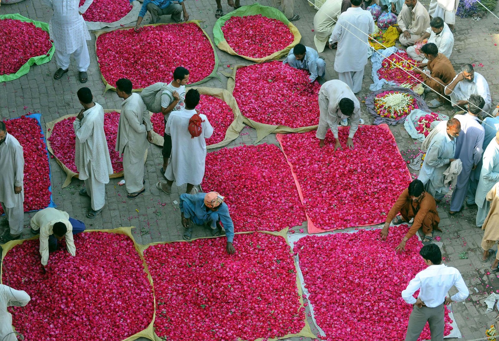 Wholesale Flowers
